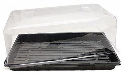 Mondi Propagation Kit - 3 piece